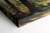 lesne-swiatlo-5.jpg